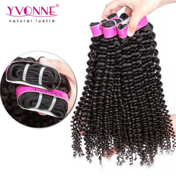 Yvonne Brazilian Kinky Curly Virgin Hair